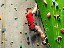 IMG-20240403-WA0014