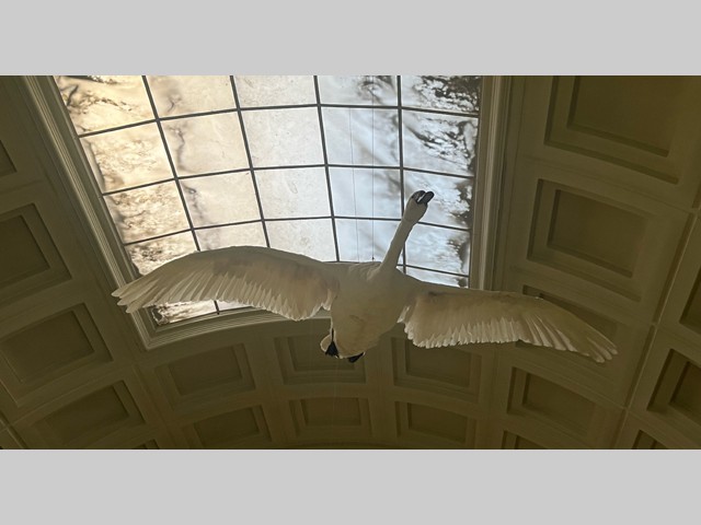 image00005