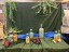 thumbnail_IMG_7428